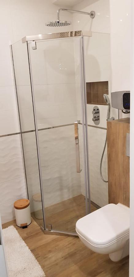 Apartament Premium تشينستوخوفا المظهر الخارجي الصورة